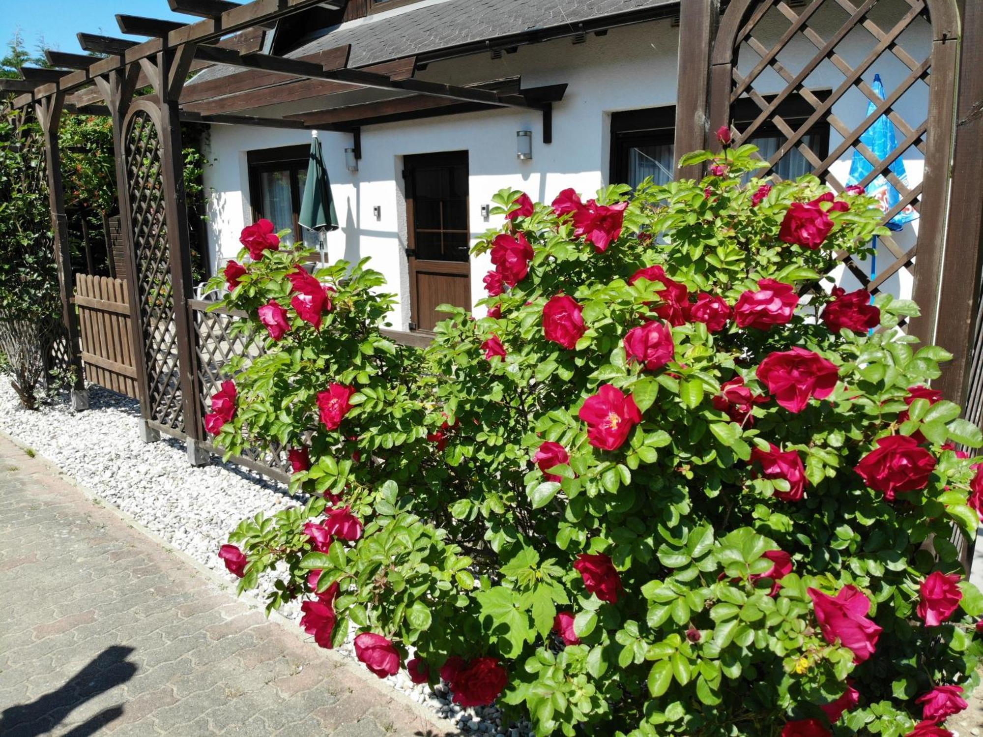 Ferienhaus Kress Rechts ゼリン エクステリア 写真